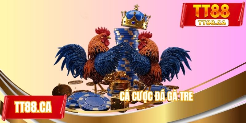 Cá cược đá gà tre