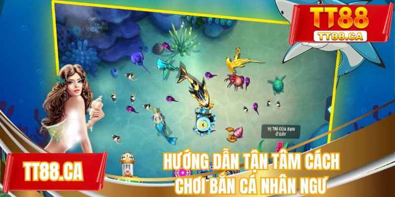 Hướng dẫn tận tâm cách chơi bắn cá Nhân Ngư