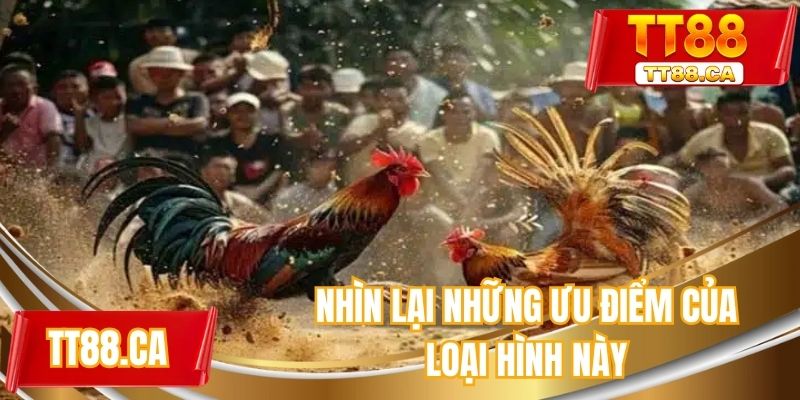 Nhìn lại những ưu điểm của loại hình này